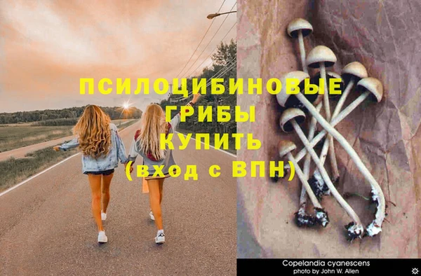 spice Богородск