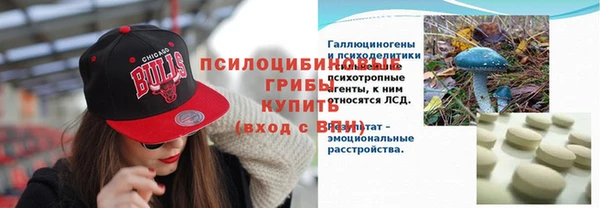 spice Богородск