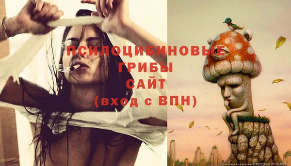 spice Богородск
