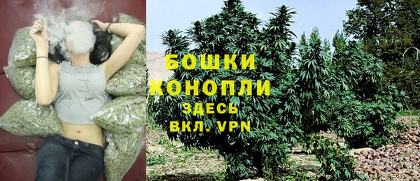 трава Белая Холуница