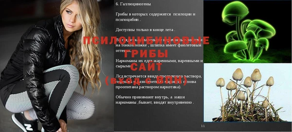ALPHA-PVP Богданович