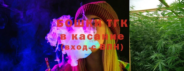 spice Богородск
